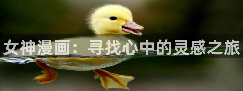 喵趣漫画官网正版下载