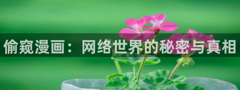 漫蛙漫画免费漫画入口