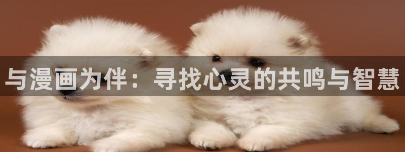 漫画喵下载